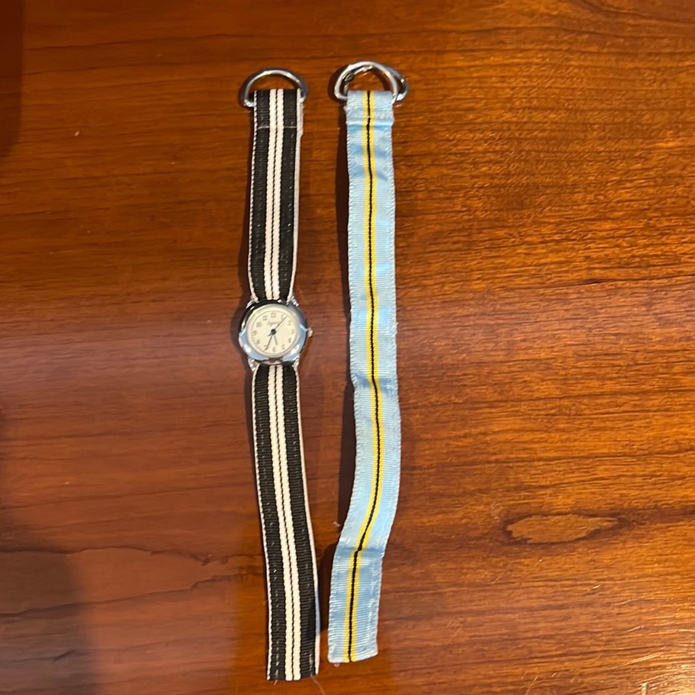 Legacy watch with interchangeable bands